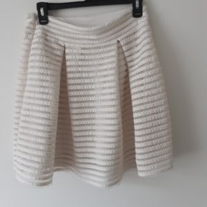 Express skirt